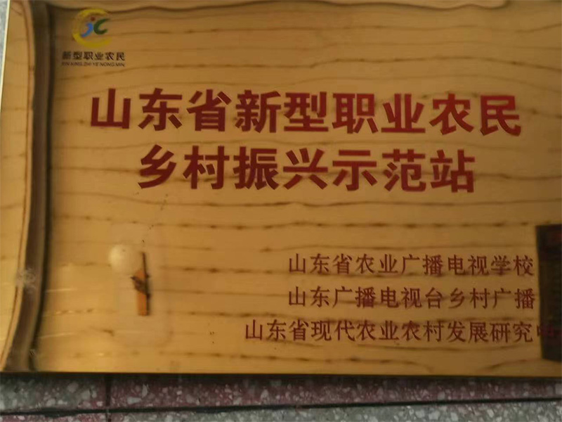 荣誉资质